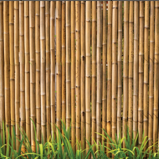 הכניסו חמימות וטבע לחצר עם גדרות במבוק איכותיות פתרון דקורטיבי ועמיד שמעניק תחושת שלווה ואסתטיקה בגינה. התאמה אישית מלאה לפי מידה, כולל התקנה מקצועית